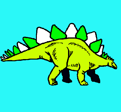 Stegosaurus