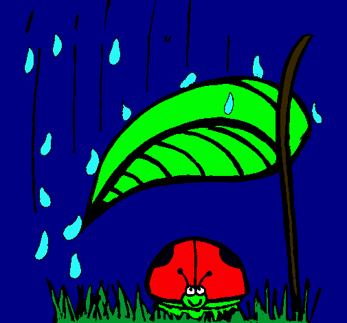 Mariquita protegida de la lluvia