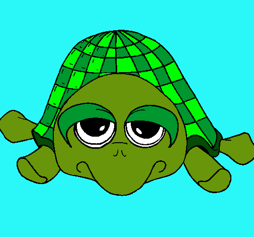 Tortuga