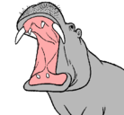 Dibujo Hipopótamo con la boca abierta pintado por alex524
