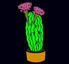 Dibujo Cactus con flores pintado por mumujita