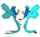 Dibujo Aves con largas colas pintado por laquema234