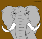 Dibujo Elefante africano pintado por keko