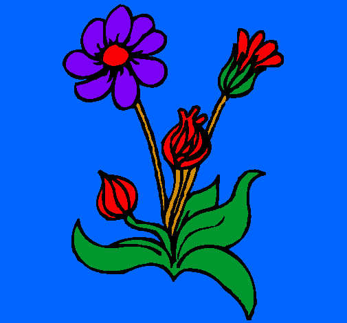 Dibujo Flores pintado por lurdes22