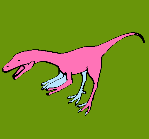 Velociraptor II