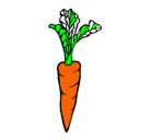 Dibujo zanahoria pintado por ZANAORIA