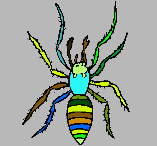 Araña tigre