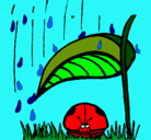 Dibujo Mariquita protegida de la lluvia pintado por jocelyalex
