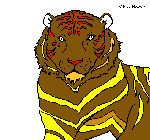 Tigre