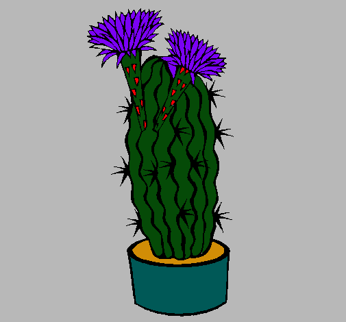 Dibujo Cactus con flores pintado por lurdes22