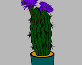 Dibujo Cactus con flores pintado por lurdes22