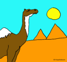 Dibujo Camello pintado por aaadad