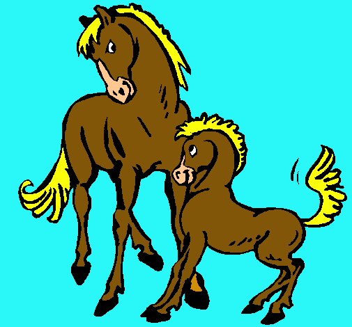 Caballos