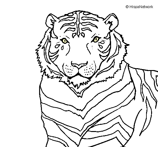 Dibujo Tigre pintado por MegaAndrea