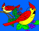 Dibujo Pájaros pintado por jota 