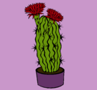 Dibujo Cactus con flores pintado por unigkgvtsmhd