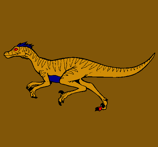 Velociraptor