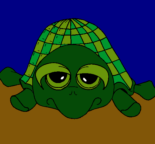 Tortuga