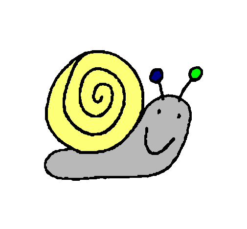 Caracol 4