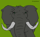 Dibujo Elefante africano pintado por Draco