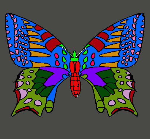 Dibujo Mariposa 5 pintado por lurdes22