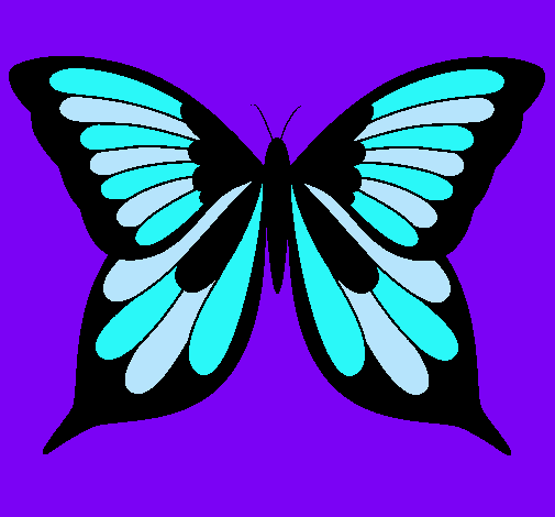 Mariposa 8