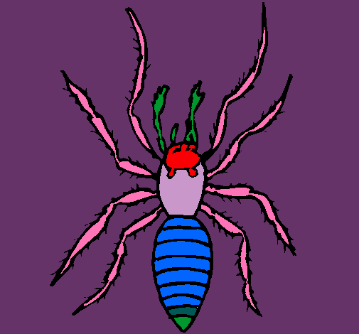 Araña tigre