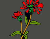 Dibujo Flores de campo pintado por lurdes22