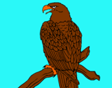 Dibujo Águila en una rama pintado por ESTY