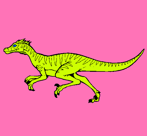 Velociraptor