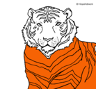 Dibujo Tigre pintado por kevin-osiris-