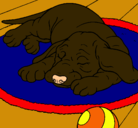 Dibujo Perro durmiendo pintado por anajackson