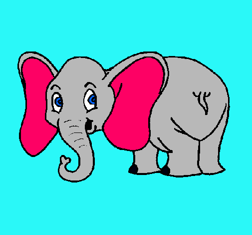 Elefante pequeño