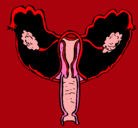 Dibujo Vagina pintado por Pistachito