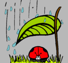 Dibujo Mariquita protegida de la lluvia pintado por Toriii 