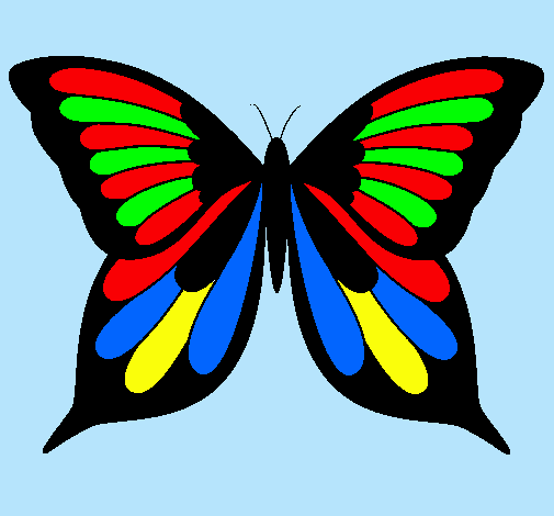 Dibujo Mariposa 8 pintado por jota 
