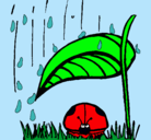 Dibujo Mariquita protegida de la lluvia pintado por PRINSESDEISY