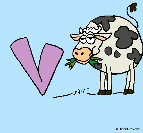 Vaca