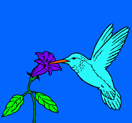 Colibrí y una flor