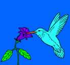 Dibujo Colibrí y una flor pintado por laquema234