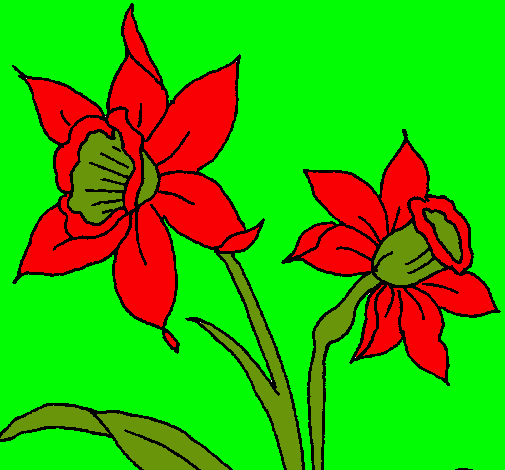 Dibujo Orquídea pintado por lurdes22