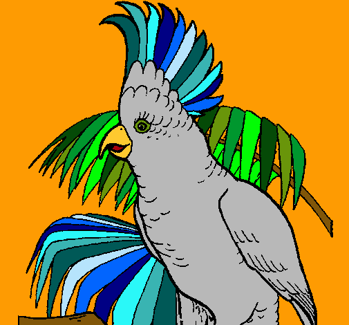 Cacatúa