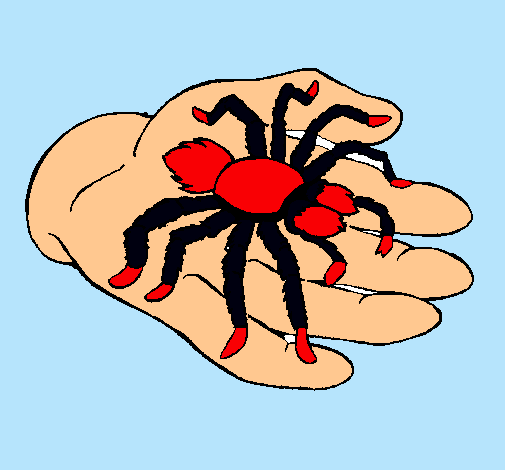 Tarántula