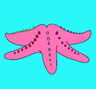 Dibujo Estrella de mar pintado por pequeinhoa