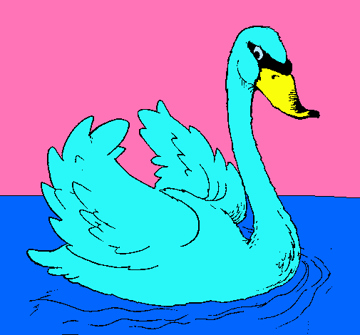 Cisne en el agua