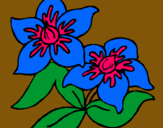 Dibujo Flores pintado por lurdes22