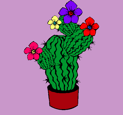 Flores de cactus