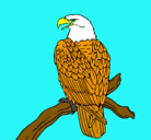 Dibujo Águila en una rama pintado por jose111
