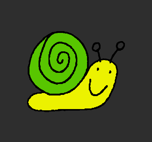 Caracol 4