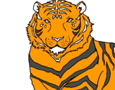 Dibujo Tigre pintado por tigre